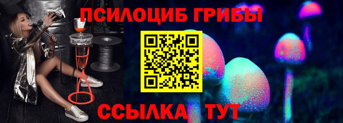 Кинель  Псилоцибиновые грибы MAGIC MUSHROOMS  Вход с VPN 